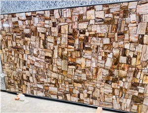 Wall Decoration Petrified Wood Semiprecious Slab Stone