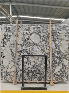 Calacatta Viola Marble Slabs Tiles  For Wall Floor Decor