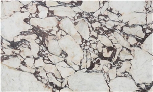 Calacatta Viola Marble Flooring Walls