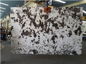 Brazil Silver Fox Granite Polished Slabs For Interior Design