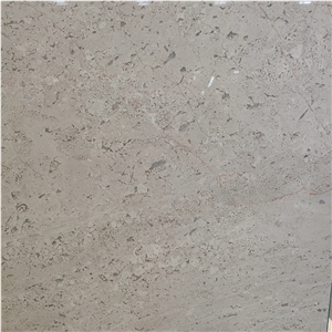Nature Stone Tile Oyster Grey Marble For Wall And Floor