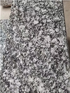 Sea Wave Flower Granite Slab, China Grey Granite