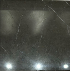 Bulgarian Grey Marble