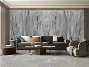Brazil Platinum Grey Quartzite Indoor Room Decor Slab Tile