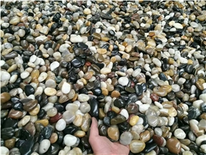 Polished Mixed Pebbles,Gravels And Riverstone