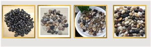 Pebble Stone For Decorate The Garden