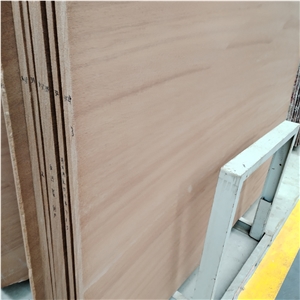 China Yellow Sandstone Slabs And Tiles