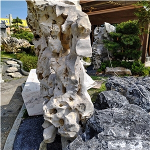 White And Black Coral Taihu Lake Stone Garden Boulders Rock
