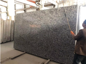 China New Spray White Granite Slab Tiles Wall Floor