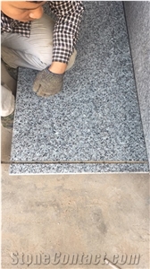 New G439 Granite Tiles & Slabs