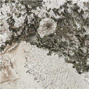 Alaska White Granite Tile