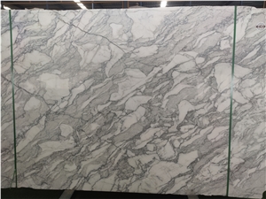 Exotic Natura White Arabescato Marble Slabs With Grey Lines
