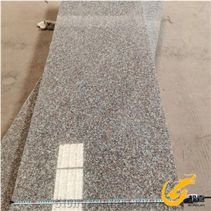 G664  Grey Granite Slab