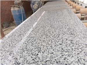 White Halayeb  Granite Slabs And Tiles
