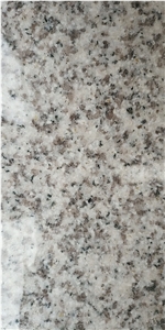 Bianco Sardo White Granite Slab Tiles