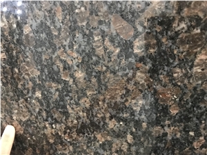 Brazil Amozon Star Granite Slab Tile For Floor And Wall