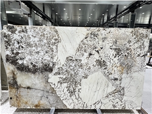 Brazil Patagonia White Granite Slab