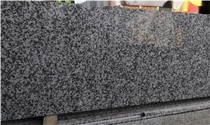China G439 Big White Flower Granite Slab Tile