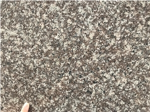China G664 Irish Brown Granite Slab Tile