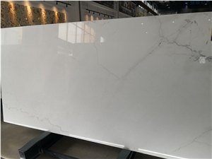 Colorado Yule White Marble Slab For Wall