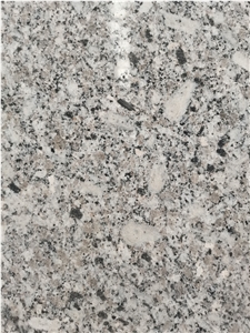 Spain Barcelona Grey Granite Slab Tile