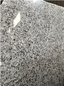 Spain Bohemian Grey Granite Slab Tile