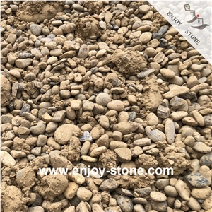 Mixed Color Pebble Stone For Walkway/Road/Wall Cladding