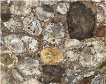 Natural Brown Fossil Petrified Semiprecious Stone Slab For Hotel Wall Decor