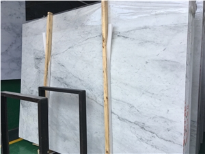 Bianco Carrara White Marble Slab Floor Tile