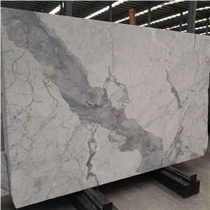 Arabescato Corchia Marble Slabs Tiles