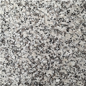 New Bacuo White Granite G603 Polished Tiles Manufacture