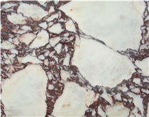 Calacatta Viola Marble Slabs From Italy