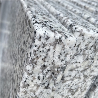 Italy Bianco Sardo Granite Good Price Countertop