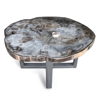 Petrified Wood Round Slab Coffee Table