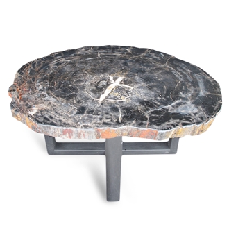 Petrified Wood Round Slab Coffee Table