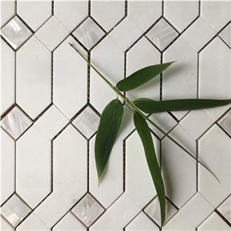 Pure White Thassos Marble And Shell  Mosaic Tiles