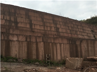 Purple Brown Wooden Sandstone Slab Tiles