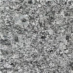 India Steel Grey Granite Laminated Honeycomb Panels