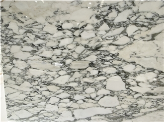 Arabescato White Marble Stone Slab