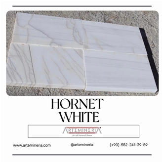Hornet White Marble Marble Tiles