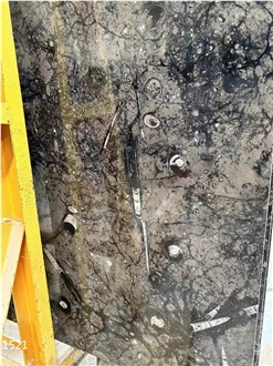 Gran Fossil Marble Slabs Pietra Di Erfoud Brown Slab Tile