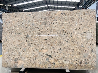 Beige Natural Terrazzo Fossil Marble Slabs