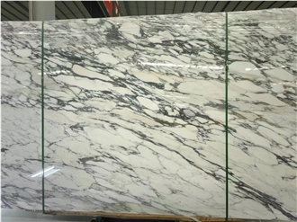 New Arrival Arabescato Marble Slabs