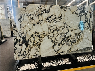 Calacatta Viola Marble For Kitchen Wall Tiles