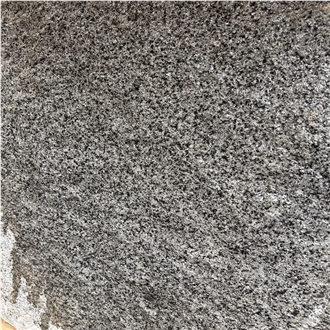 LOW PRICE Dark Grey Granite New G654 Tile  Slabs