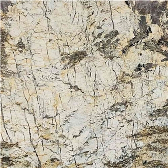 Amazon Rainforest Granite Slabs
