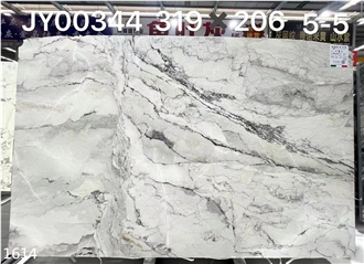 Camus White Marble Big Slab Tiles Interior Wall Floor Use