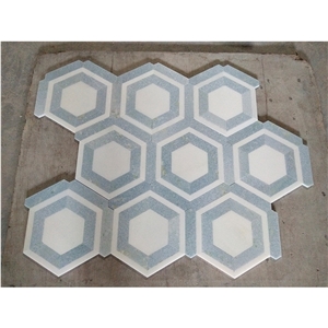 Blue Marble And Thassos White Hexagon Mosaic Tiles