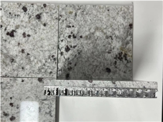 Astoria Cream Granite Composited Aluminum Honeycomb Panels