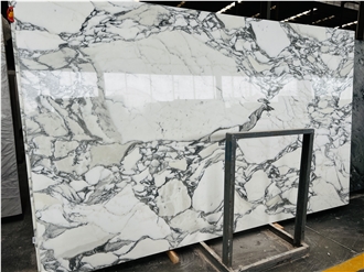 Italy Luxury Arabescato White Marble For Wall Tiles